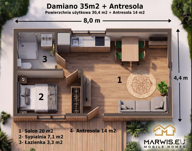 Damiano 35